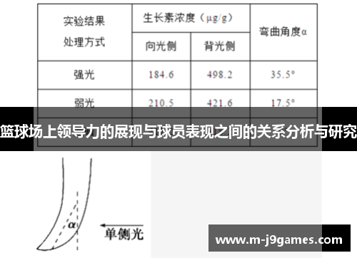 篮球场上领导力的展现与球员表现之间的关系分析与研究