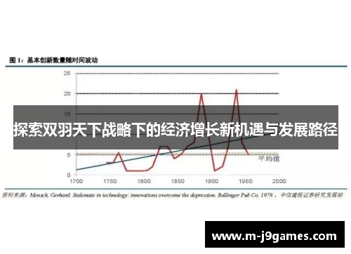 探索双羽天下战略下的经济增长新机遇与发展路径