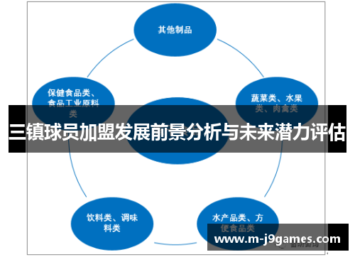 三镇球员加盟发展前景分析与未来潜力评估