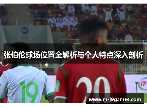 张伯伦球场位置全解析与个人特点深入剖析